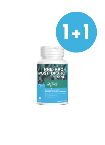 Pre-Pro-Post-Biotic forte – labvēlīgās baktērijas gremošanai, Acorus Balance, 60 kapsulas