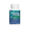 Magnija malāts muskuļiem / nervu sistēmai / kognitīvajai funkcijai, Acorus Balance, 80 kapsulas
