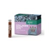 Collagen beauty shots, 14 gab.