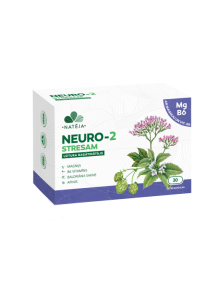 NEURO 2 STRESAM kapsulas ar Magniju & B6 vit. Natēja, 30 gab.