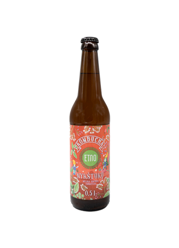Fermentuotos arbatos gėrimas „Nykštukų“, ETNO, 500 ml